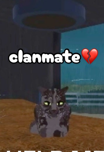 LEAVE ME ALONE WHATS WRONG WITH YOU #roblox #warriorscats #warriorcats | warrior cats