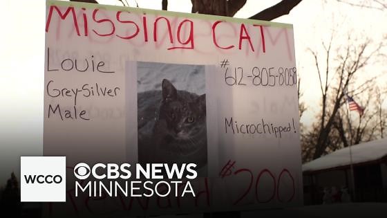 Twin Cities man searching for cat who went missing during house fire