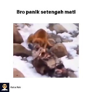 5M views · 50K reactions | Fact or Fake on Reels | Facebook