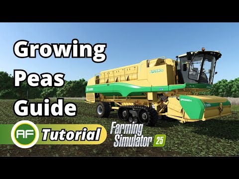 How To Grow Peas In Farming Simulator 25