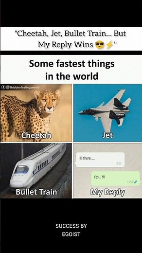 "The Fastest Things in the World!"⚡ #facts #fast #realitycheck