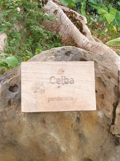 Descubre Guinea Ecuatorial: Un Paraíso Natural