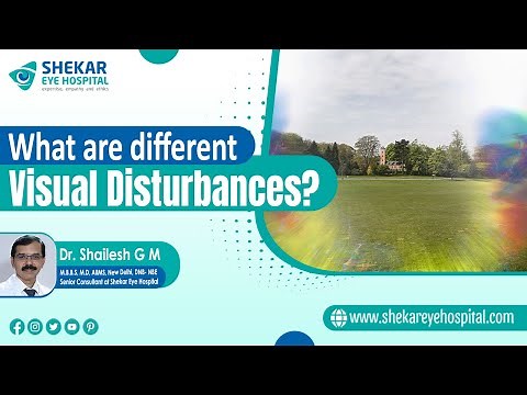 Visual Disturbances | Causes, Symptoms of Visual Disturbances | Shekar Eye Hospital