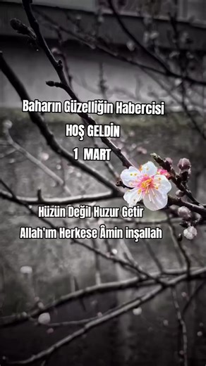 ☘️ CENNET ☘️ (@c_e_n_n_e_t_02) adlı kullanıcının orijinal ses - Enestlhasky ile oluşturduğu videoları