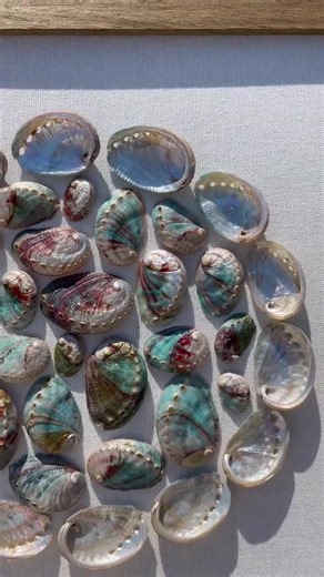 Abalone Shell Art, Red Abalone Shell, Shell Art Print, Framed Shell Art, Shell Collage, Genuine Shell Art, Shell Wall Art, Sea Shell Décor - Etsy