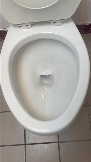 1990s Kohler highcliff toilet flush