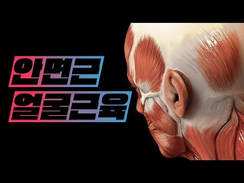 [해부학 - 근육학] 머리근육(head muscles) - 얼굴근육(안면근, facial muscles)