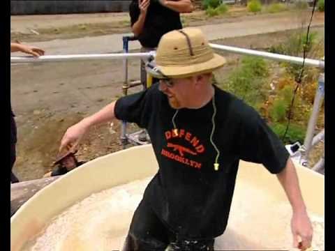 Mythbusters: Quicksand