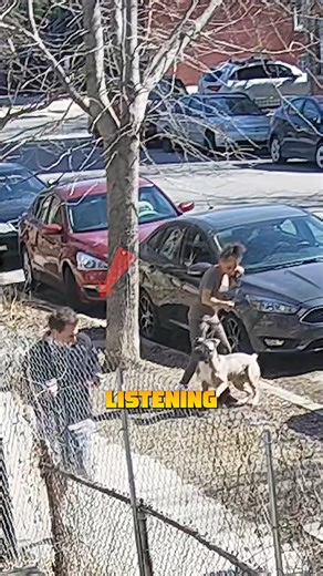 When a Jog Turned Into a Dog Encounter A casual jog took a wild turn when a dog attacked! Watch how quick thinking kept him safe. #WildEncounter #DogAttack #QuickThinking #ViralReels #SafetyFirst | Loukides Soraiz