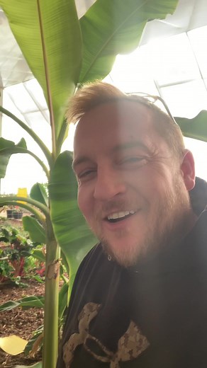 Optimizing Plant Growth with a Carbon Dioxide Generator