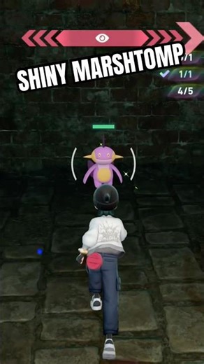 ✨Shiny Marshtomp✨
