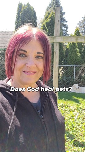 Can we pray healing for our pets and have God heal them.#pray #prayer #prayers #dogsofinstagram #pets #healing #worship #Christian ##goldenretriever | Kathy DeGraw