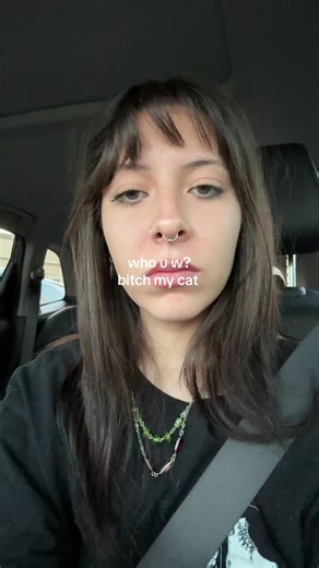 Engaging with My Cat: A Fun Pet Video