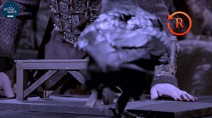 Bran the raven solved this round in lightning quick time, but who will win the Game of Crows? Vote now via: https://www.bbc.co.uk/winterwatch | BBC Springwatch