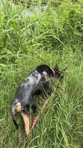 Association RPA on Reels