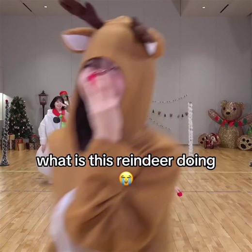 Discover the Adorable Reindeer Antics