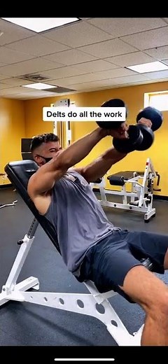 How to: Seated Dumbbell Front Raises To Build Front Delts (Anterior Deltoid)