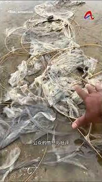 关丹孔明灯之夜变灾难 海滩环境惨遭破坏