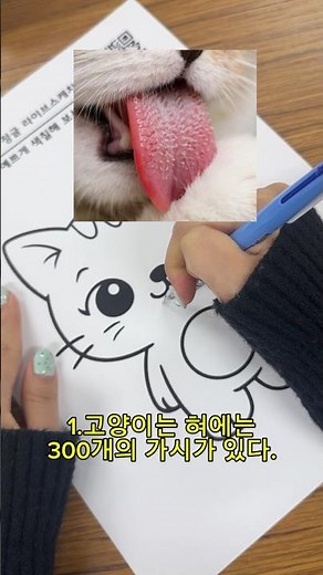 고양이의 비밀 3가지 #에듀테크 #라이브스케치 #3d애니메이션 #고양이 #animation #에듀패밀리 #3d캐릭터