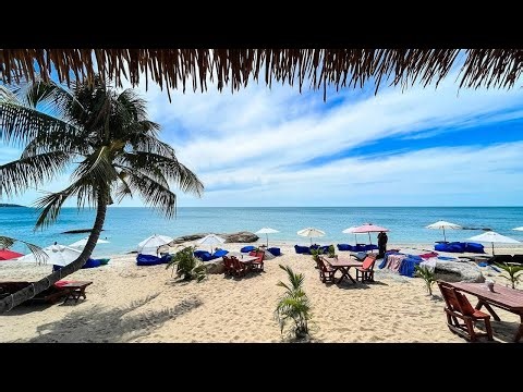 Livestream 🔴 Black pearl restaurant Koh Samui Lamai beach - Live on the beach