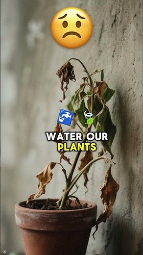 DIY Automatic Waterer! Build a Self-Watering Plant System | STEM Gardening for Kids