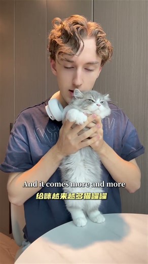 高能量发财歌（铲屎官版）？！ 每天一遍！努力搞钱，给咪买罐罐！Money loves me and 咪！#高能量发财歌 #moneylovesme #显化 #吸引力法则 #猫猫