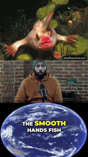 Top 5 Extinct Animals Since 2020_ Shocking Losses!