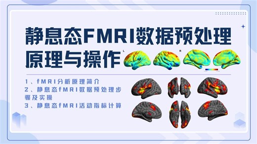 静息态fMRI数据预处理原理与操作