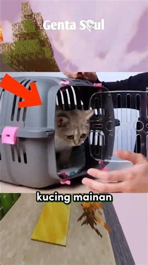 Youtuber ini membeli mainan kucing realistis!!