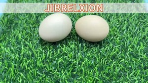 8 Pack Chicken Nesting Box Pads for Chicken Coop, 12" x 12" Washable Laying Eggs Turf Grass, Artificial Grass Nesting Box Pads, Reusable Egg-Protecting Liners for Pets and Camper, Green