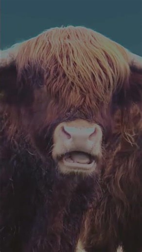 focus on what matters // PMP // 365 / 31