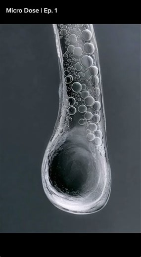 Why Hair Actually Turns Gray (Microscopic View) 🦳🔬 #shorts