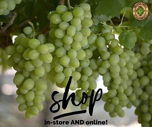 12K views · 144 reactions | Shop grapes from California in-store AND online now! Whether you're grocery shopping at the store or online these days, just make sure that California grapes are always in your fridge for a quick and easy snack. Leave us a comment below if #GrapesfromCA just got added to your shopping list!! | Grapes From California | Facebook