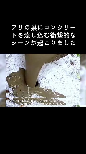 アリの巣に10tのセメントを流し込んだ結果