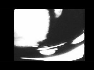 Howlaround effect for 13 minutes