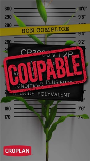 FR Farnham 1080x1920