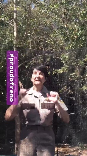 Reno 911: Proud of Reno | Quibi Series