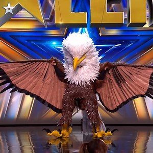 Peter & Eagle have Judges howling with hilarious birdie audition | America's Got Talent Auditions