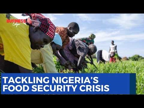 Nigeria's Agricultural Challenges, Role of Technological Solutions