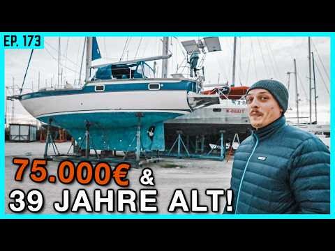 A long-distance cruise ship for Alex: How good is this chance find in Italy?