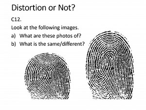 "What's the same? What's different?" - Realistic Maths Education