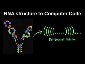 RNA Folding: How to Use Dot-Bracket Notation