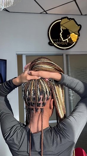 Knotless Box Braids Colour Combinations