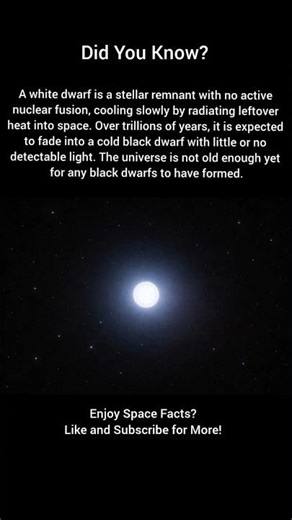 Why No Black Dwarfs Exist Yet In The Universe