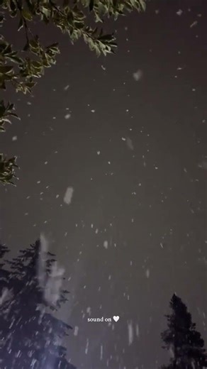 The Sound of Falling Snow in Winter