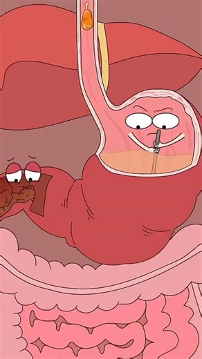 THE VITAL SIGNS on Instagram: "My Stomach Is About to EXPLODE! What happens when your body's signals get crossed? In this wild animation, a simple ulcer causes a major traffic jam, and the stomach is at its breaking point! When the brain keeps sending food down to a blocked exit, the pressure builds up until.. KABOOM! This video shows the shocking (and funny) reality of what can lead to a ruptured stomach. It's a hilarious but important reminder to listen to your body's warning signs. Don't igno