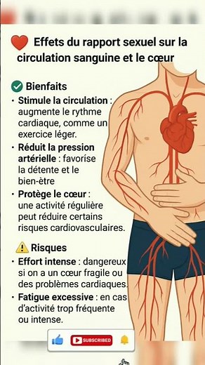 Effets du rapport s*xuel sur la circulation sanguine et le cœur