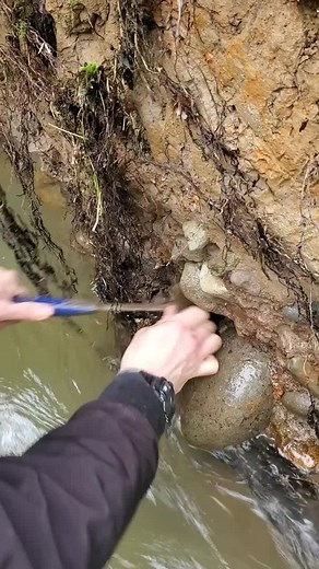 Exploring a Massive Agate Discovery | Rockhunting Adventure!