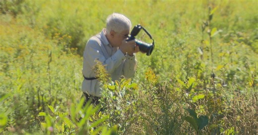 Mass Audubon Society contest encourages photographers to explore nature