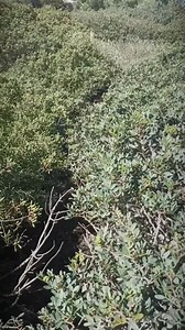 Είσοδος σε παλιό Ιερό στη Περαχώρα Λουτρακίου #ιστορία #αρχαία #ελληνικά #Ελλάδα #πολιτισμός | Όλα Ελληνικά